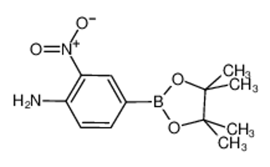 Picture of 4-Amino-3-nitrophenylboronic acid pinacol ester