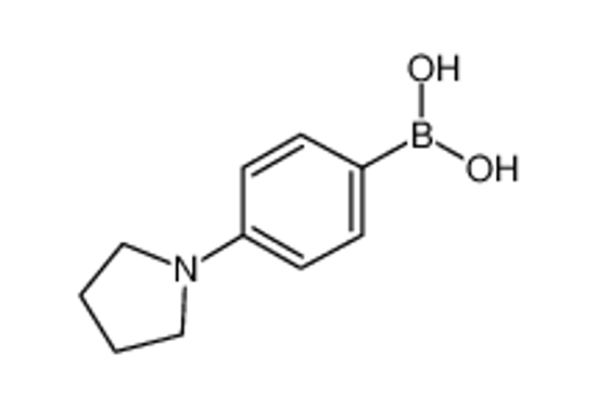 Изображение (4-PYRROLIDIN-1-YLPHENYL)BORONIC ACID