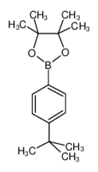 Picture of 2-(4-tert-butylphenyl)-4,4,5,5-tetramethyl-1,3,2-dioxaborolane