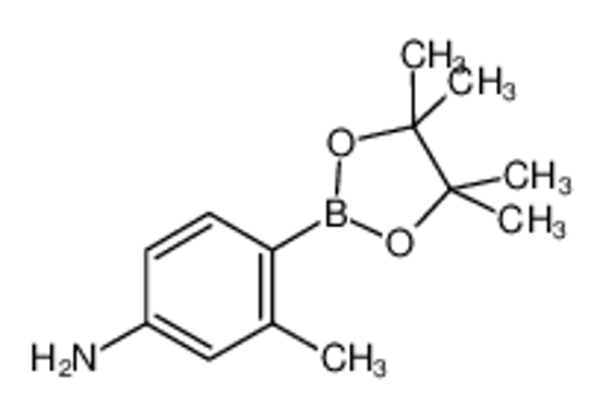 Picture of 4-Amino-2-methylphenylboronic acid, pinacol ester