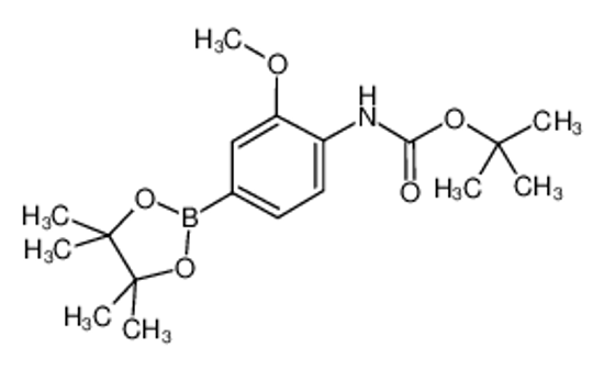 Picture of 4-(tert-Butoxycarbonylamino)-3-methoxyphenylboronic acid, pinacol ester