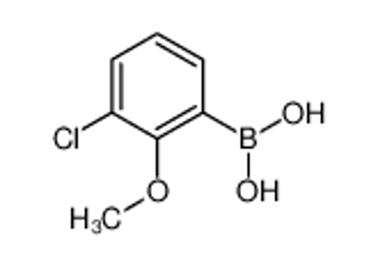 Picture of 3-Chloro-2-methoxyphenylboronic acid