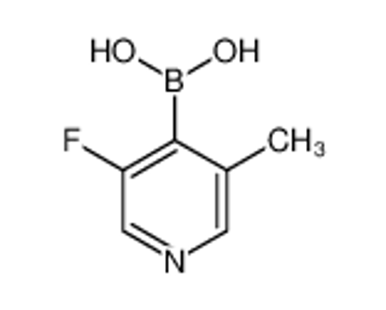 Picture of (3-fluoro-5-methylpyridin-4-yl)boronic acid