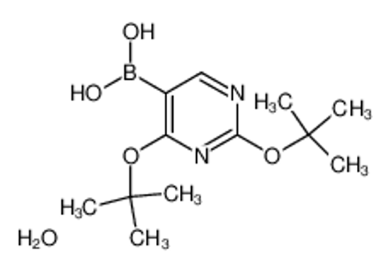 Picture of (2,4-Di-tert-butoxypyrimidin-5-yl)boronic acid