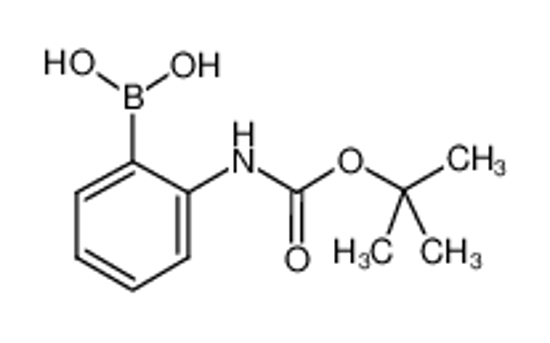 Picture of 2-BOC-aminophenylboronic acid