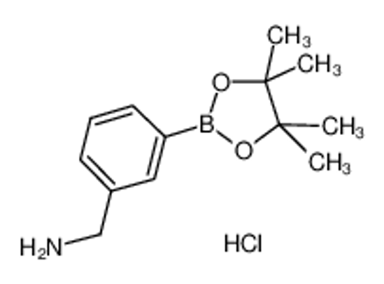 Picture of 3-Aminomethylphenylboronic acid, pinacol ester, HCl