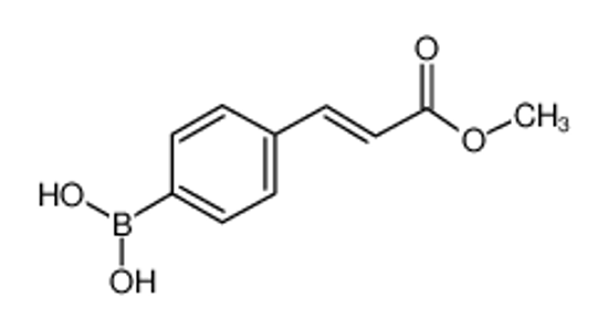 Изображение 4-(E-3-Methoxy-3-oxo-1-propen-1-yl)phenylboronic acid