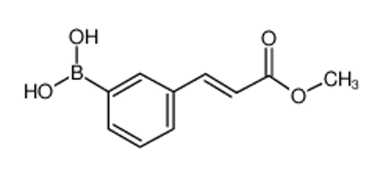 Picture of [3-(E-3-METHOXY-3-OXO-1-PROPEN-1-YL)PHENYL]BORONIC ACID