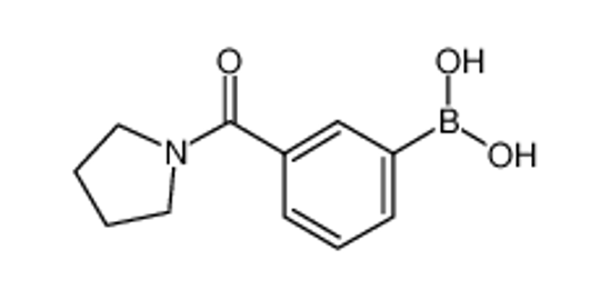 Изображение 3-Pyrrolidinylcarbonylphenylboronic acid