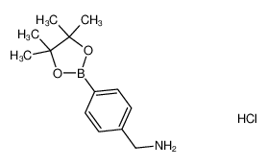 Picture of 4-AMINOMETHYLPHENYLBORONIC ACID, PINACOL ESTER, HCL
