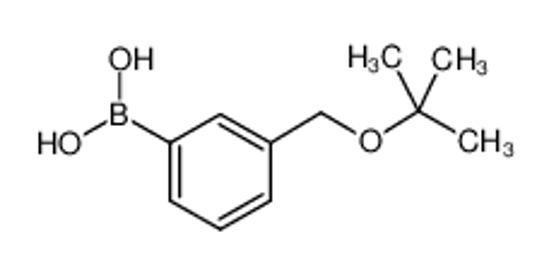 Picture of [3-[(2-methylpropan-2-yl)oxymethyl]phenyl]boronic acid