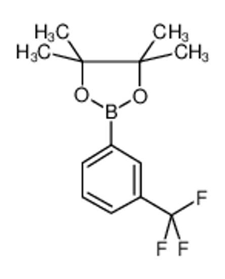 Picture of 3-Trifluoromethylphenylboronic acid, pinacol ester