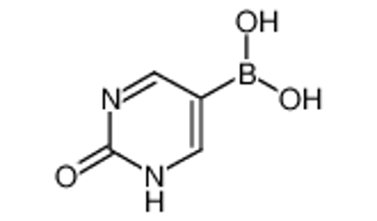 Picture of (2-oxo-1H-pyrimidin-5-yl)boronic acid