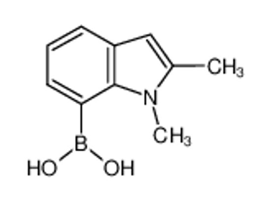 Picture of (1,2-dimethylindol-7-yl)boronic acid