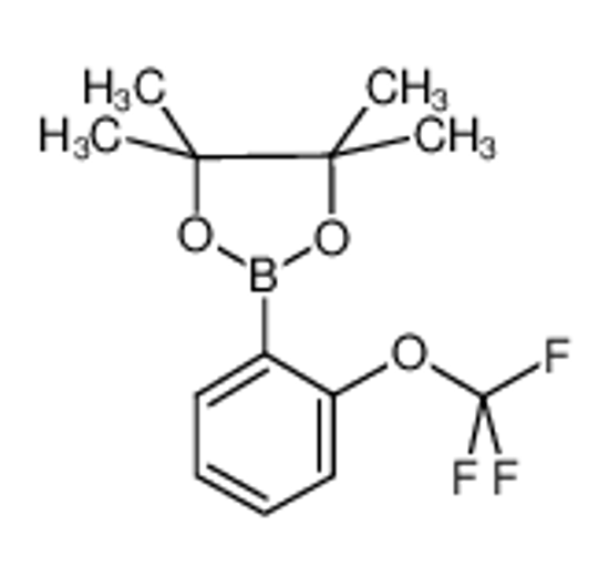 Изображение 4,4,5,5-tetramethyl-2-[2-(trifluoromethoxy)phenyl]-1,3,2-dioxaborolane