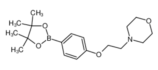 Imagem de 4-(2-[4-(4,4,5,5-TETRAMETHYL-[1,3,2]DIOXABOROLAN-2-YL)-PHENOXY]-ETHYL)-MORPHOLINE