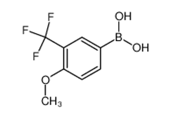 Picture of (4-Methoxy-3-(trifluoromethyl)phenyl)boronic acid