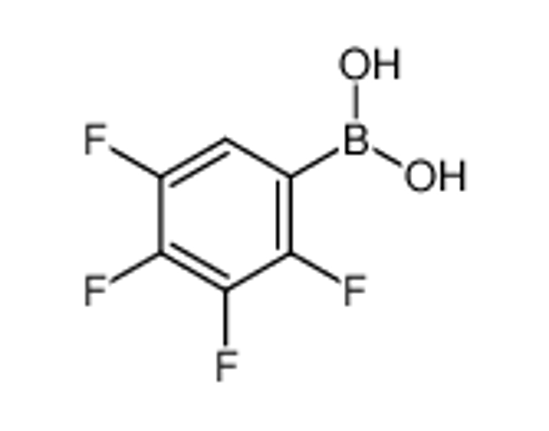 Picture of (2,3,4,5-tetrafluorophenyl)boronic acid