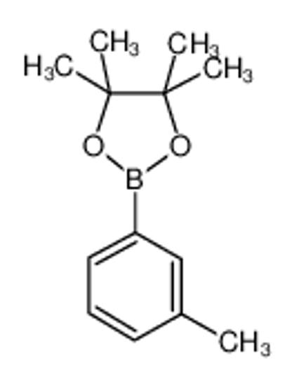 Изображение 4,4,5,5-tetramethyl-2-(3-methylphenyl)-1,3,2-dioxaborolane