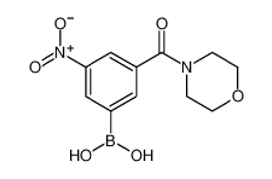 Picture of (3-(Morpholine-4-carbonyl)-5-nitrophenyl)boronic acid