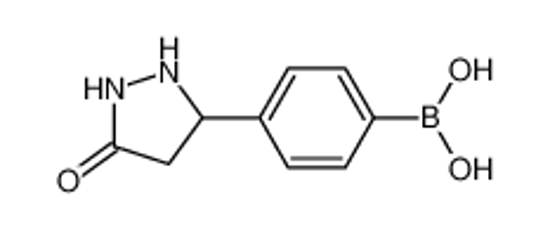 Picture of [4-(5-oxopyrazolidin-3-yl)phenyl]boronic acid