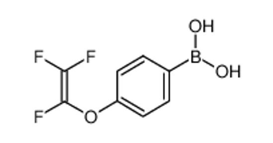Picture of [4-(1,2,2-trifluoroethenoxy)phenyl]boronic acid