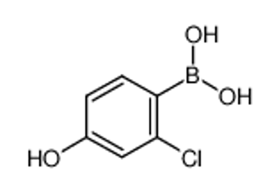 Picture of 2-Chloro-4-hydroxyphenylboronic acid