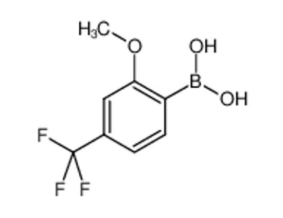 Imagem de [2-methoxy-4-(trifluoromethyl)phenyl]boronic acid
