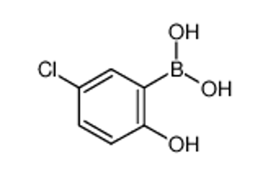 Picture of 5-Chloro-2-hydroxyphenylboronic acid