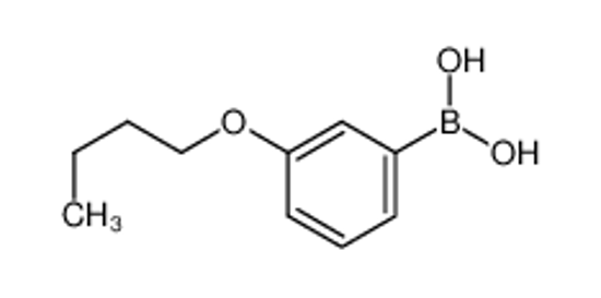 Picture of (3-butoxyphenyl)boronic acid