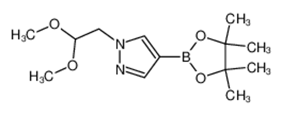 Picture of 1-(2,2-dimethoxyethyl)-4-(4,4,5,5-tetramethyl-1,3,2-dioxaborolan-2-yl)pyrazole