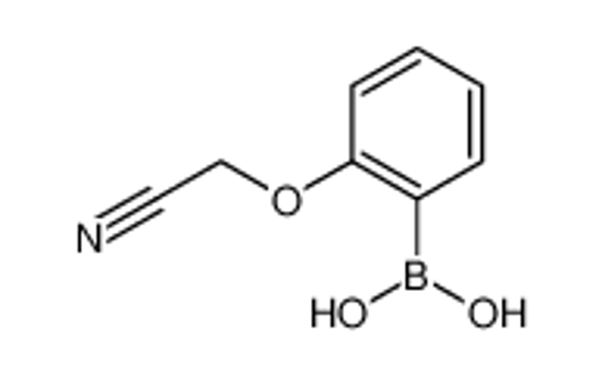 Изображение (2-(Cyanomethoxy)phenyl)boronic acid