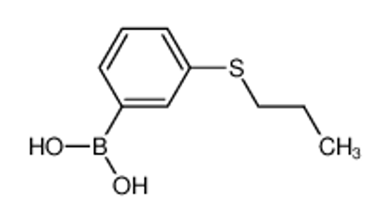 Picture of (3-propylsulfanylphenyl)boronic acid