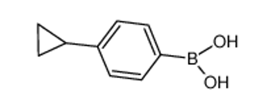 Picture of (4-cyclopropylphenyl)boronic acid