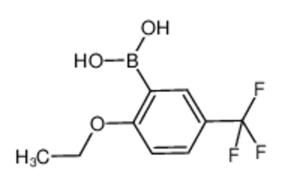Picture of 2-Ethoxy-5-trifluoromethylphenylboronic acid