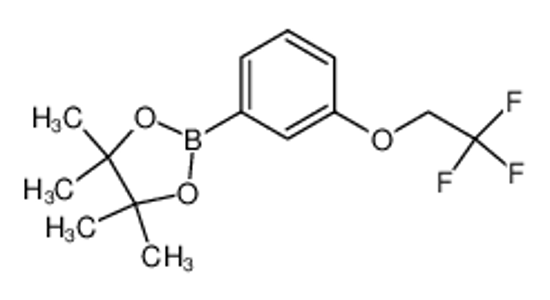 Изображение 4,4,5,5-tetramethyl-2-[3-(2,2,2-trifluoroethoxy)phenyl]-1,3,2-dioxaborolane