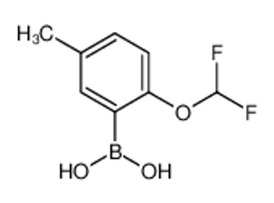 Picture of [2-(difluoromethoxy)-5-methylphenyl]boronic acid