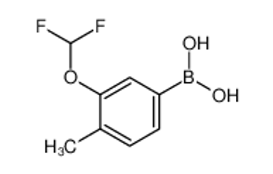Picture of [3-(difluoromethoxy)-4-methylphenyl]boronic acid
