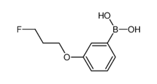 Imagem de [3-(3-fluoropropoxy)phenyl]boronic acid