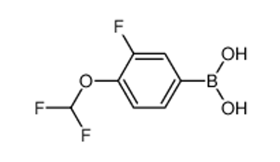 Picture of [4-(difluoromethoxy)-3-fluorophenyl]boronic acid