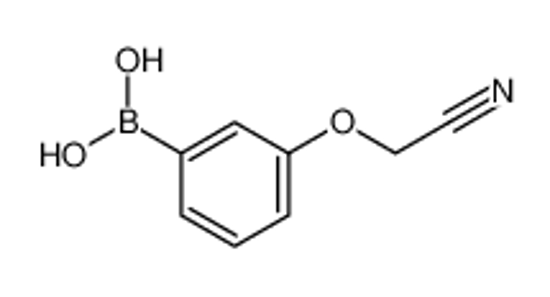 Picture of (3-(Cyanomethoxy)phenyl)boronic acid