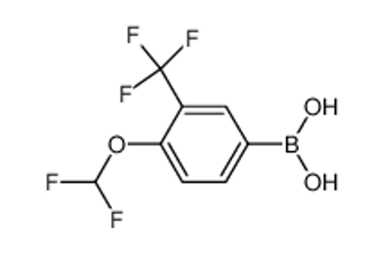 Picture of [4-(difluoromethoxy)-3-(trifluoromethyl)phenyl]boronic acid