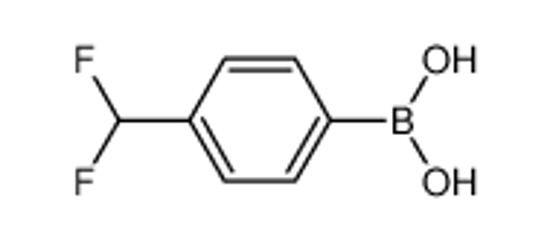 Picture of (4-(Difluoromethyl)phenyl)boronic acid