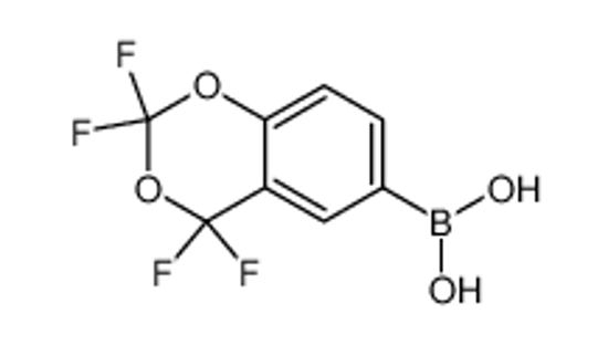 Picture of (2,2,4,4-tetrafluoro-1,3-benzodioxin-6-yl)boronic acid