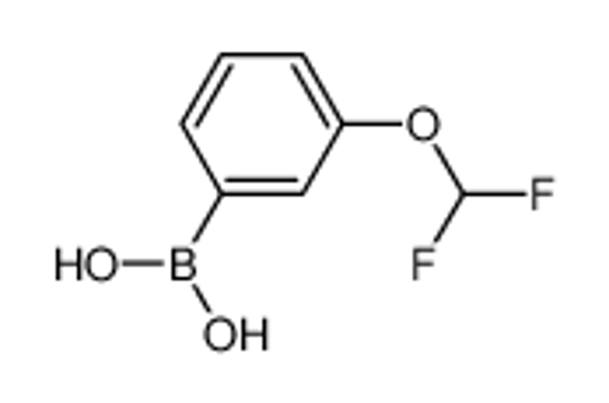 Picture of (3-(Difluoromethoxy)phenyl)boronic acid