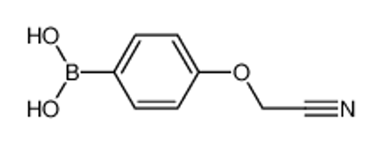 Picture of (4-(Cyanomethoxy)phenyl)boronic acid