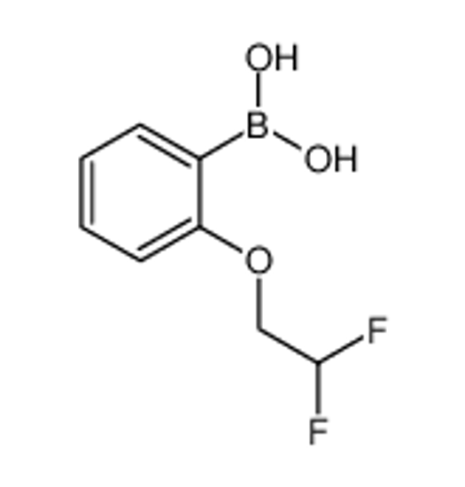 Picture of [2-(2,2-difluoroethoxy)phenyl]boronic acid