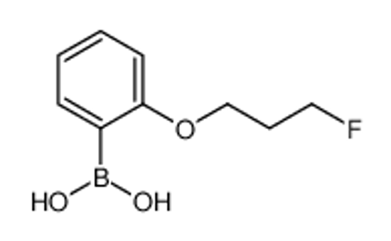 Picture of [2-(3-fluoropropoxy)phenyl]boronic acid