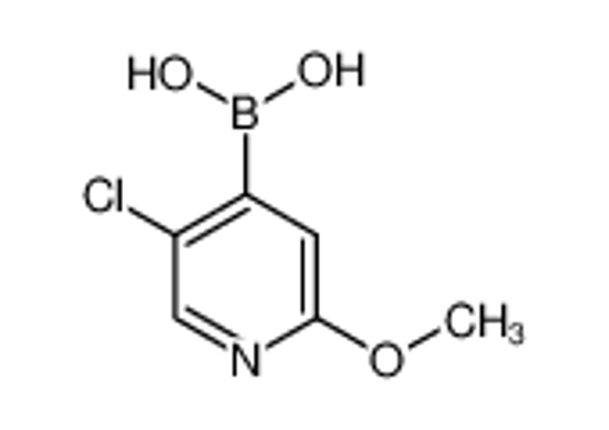 Изображение (5-Chloro-2-methoxypyridin-4-yl)boronic acid
