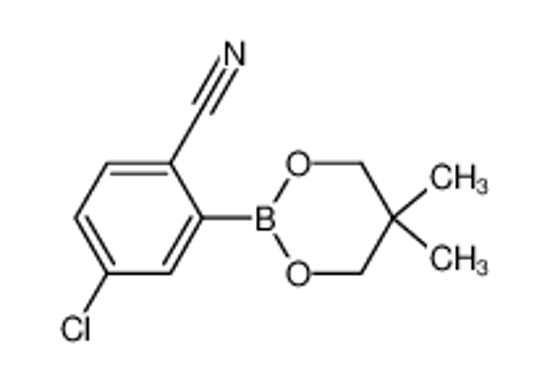 Imagem de 4-chloro-2-(5,5-dimethyl-1,3,2-dioxaborinan-2-yl)benzonitrile